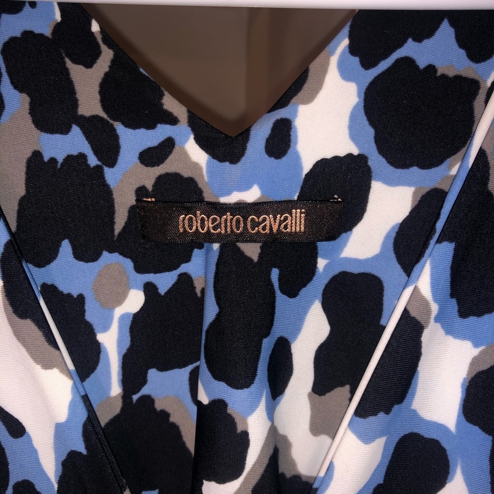 Gorgeous Roberto Cavalli Dress